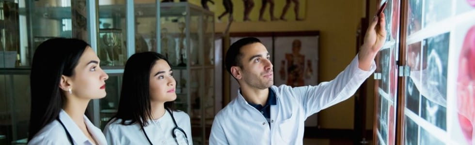 Anatomische Lehrtafeln Anatomische Lehrtafeln